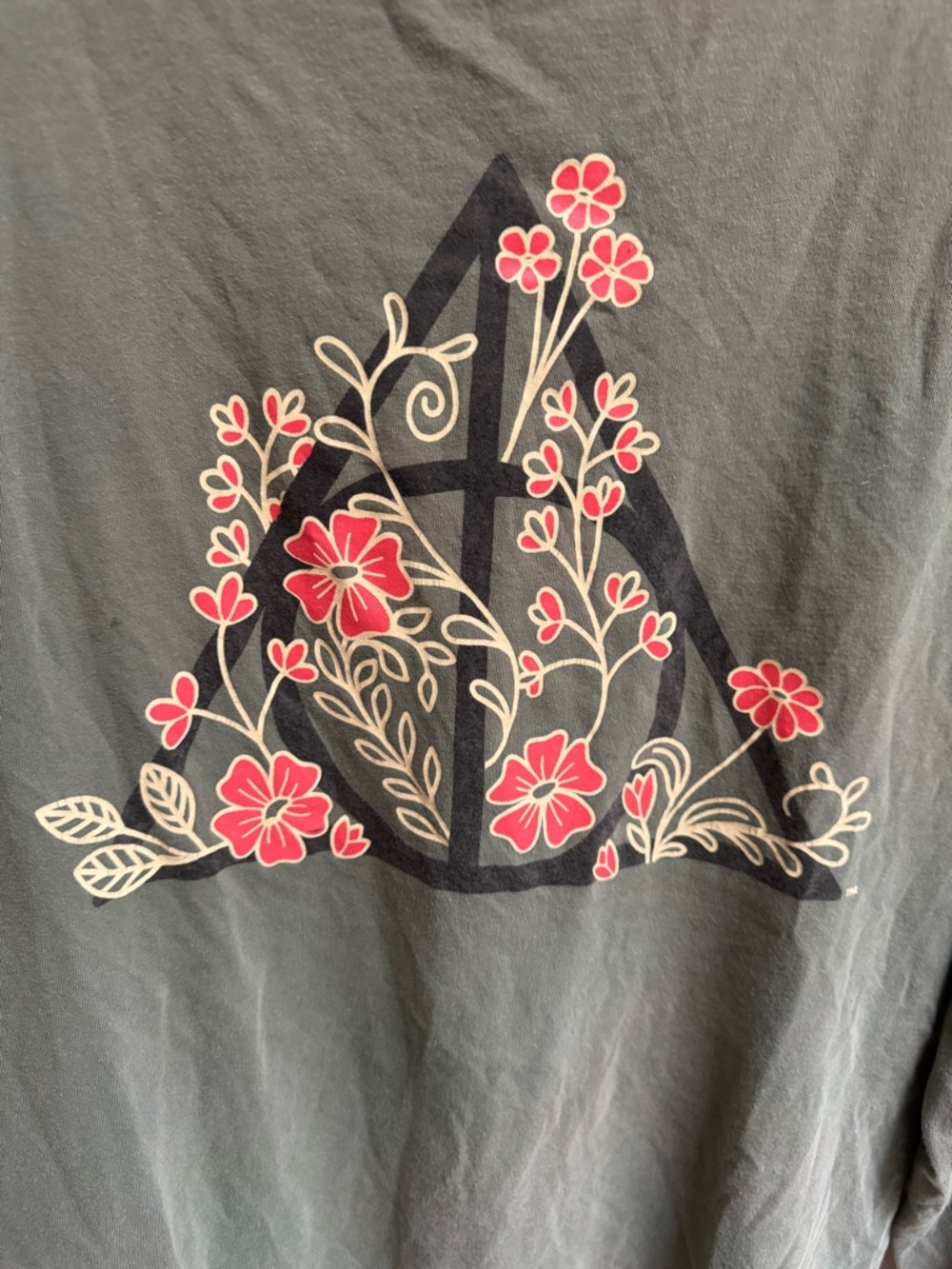Unisex Harry Potter Box Lunch Exclusive T-Shirt - Picture 7 of 8